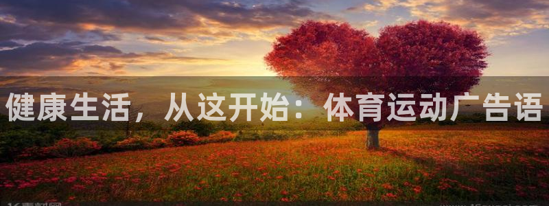 JJB竞技宝官网下载是干嘛的公司:健康生活,从这开始:体育运