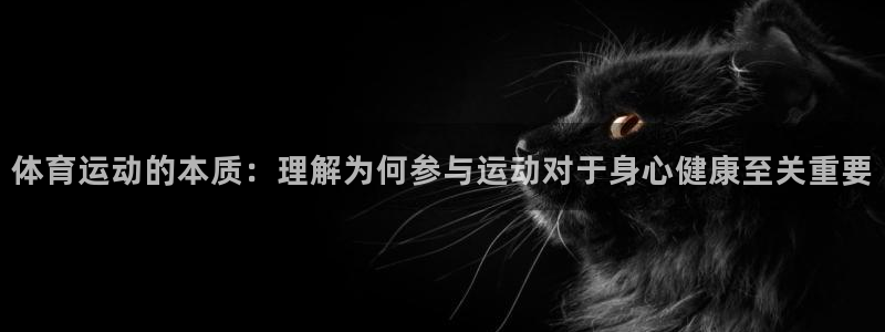 JJB竞技宝官方集团官网:体育运动的本质:理解为何参与运动对