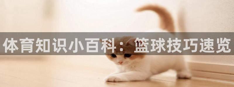 JJB竞技宝官网下载招商电话地址:体育知识小百科:篮球技巧速